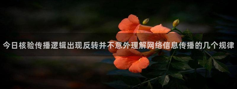 网红黑料当事人回应