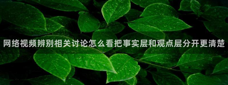 明星黑料今日更新