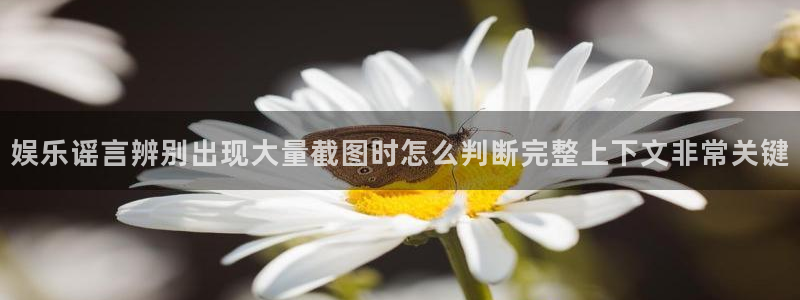 最新黑料证据梳理