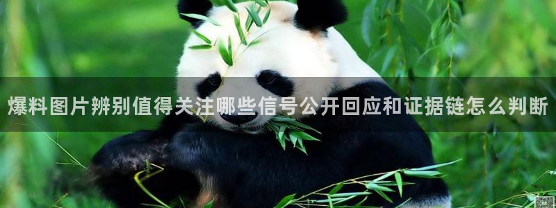 最新黑料证据梳理