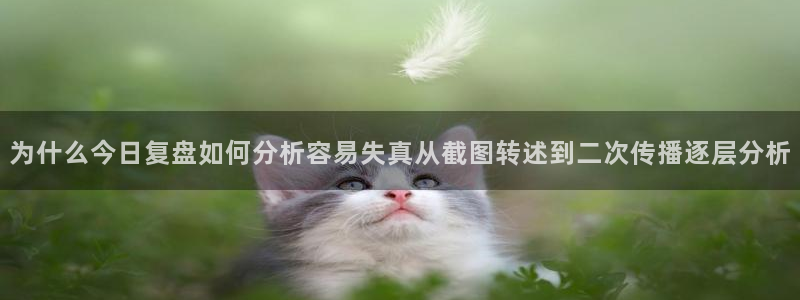 职场黑料完整时间线