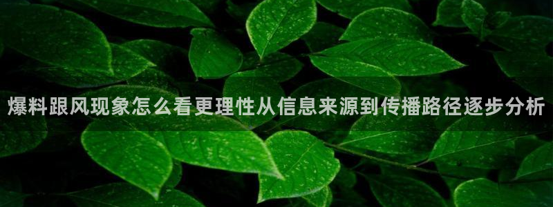 最新黑料证据梳理