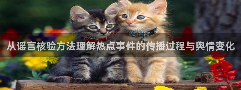 黑料