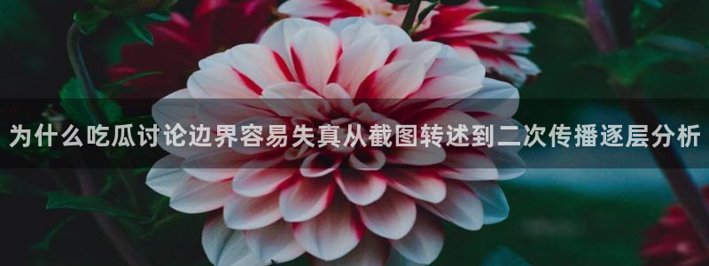 热门黑料后续进展