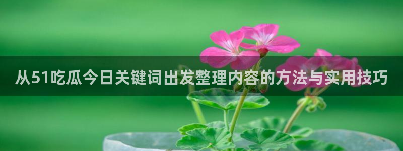 黑料吃瓜完整时间线