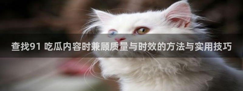 明星黑料信息汇总