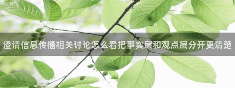 黑料爆料证据梳理