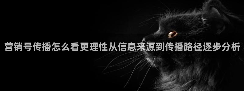 网络黑料后续进展